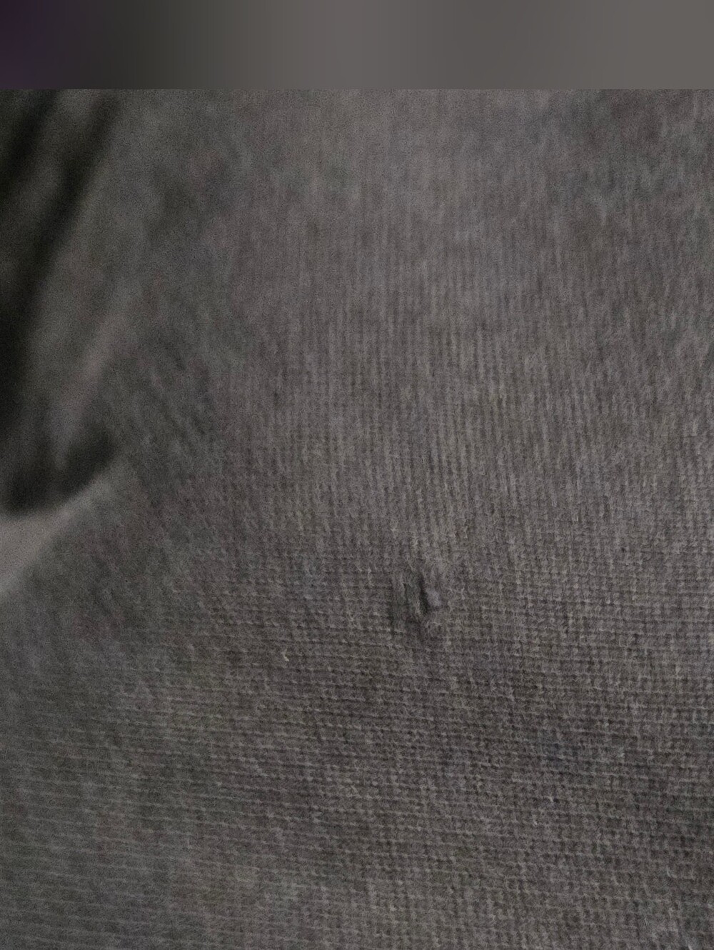 Jogger - Picture 5 of 5